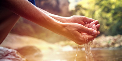 Hands holding water