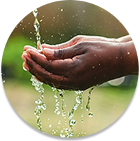 Hands catching water