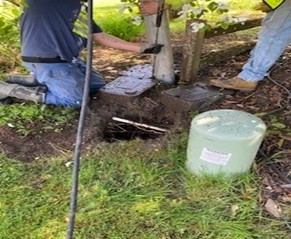 Two Washington Water employees performing a visual inspection on an excavated service line at the base of a tree