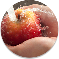 Hands rinsing apple in sink
